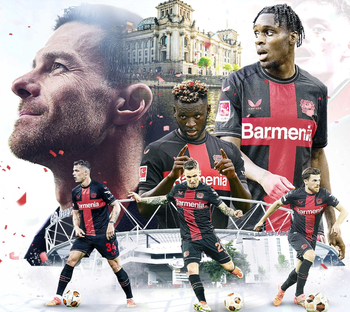 金刚app下载官方网站